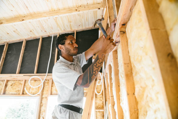 Best Insulation Replacement Services  in Shreveport, LA