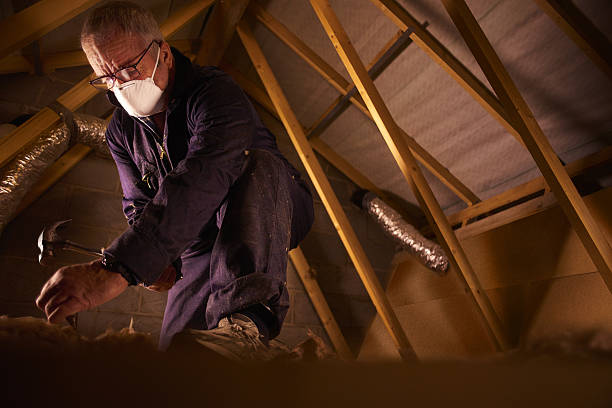 Best Cellulose Insulation  in Shreveport, LA